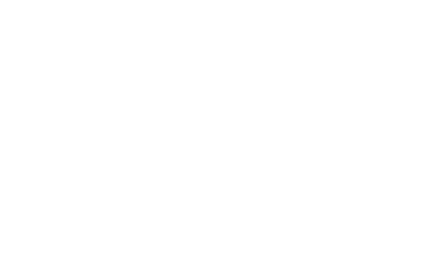 Vectors Capital
